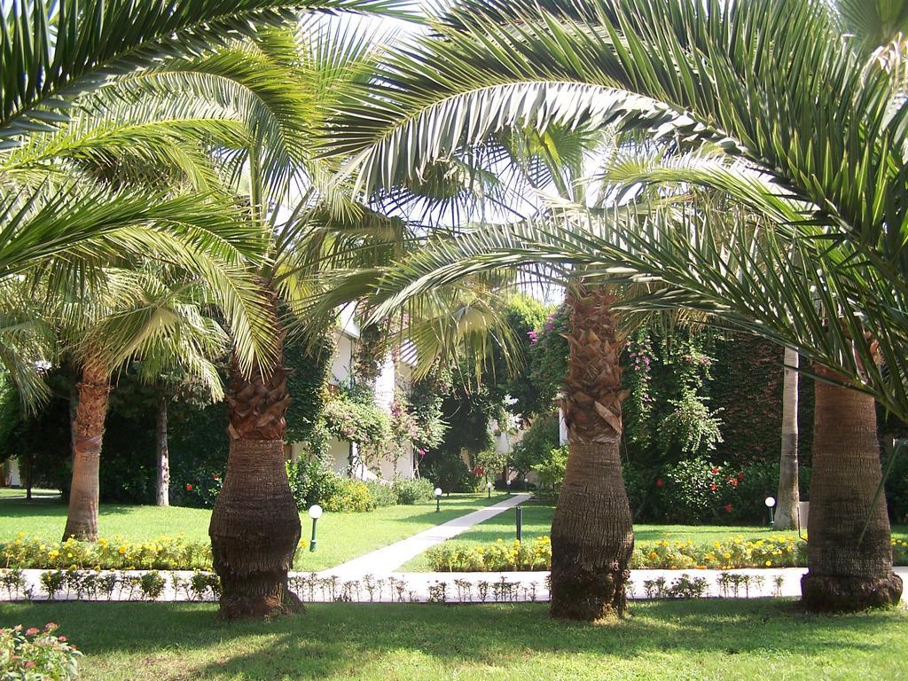 Club Boran Mare Beach Kemer Exterior photo