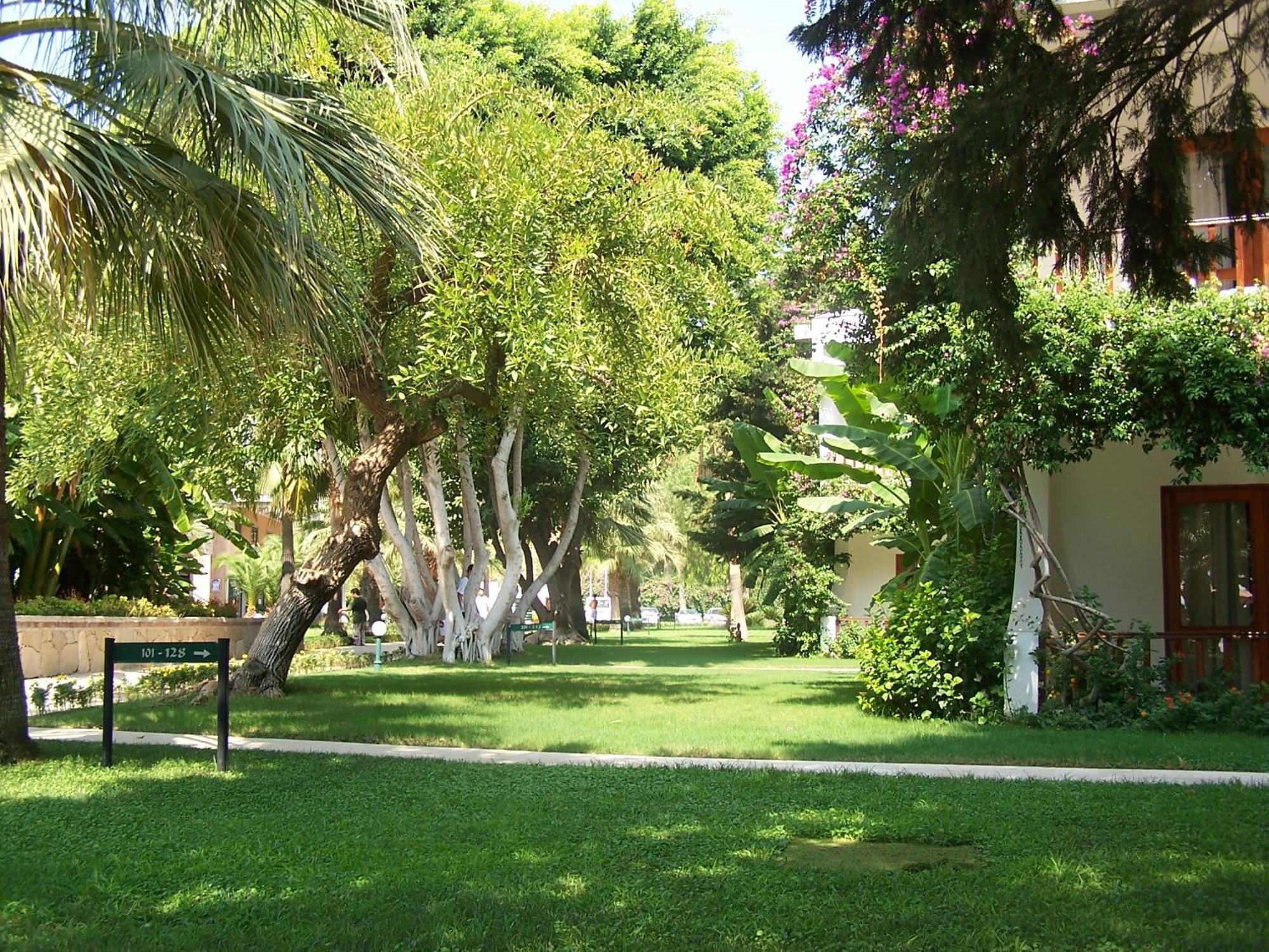 Club Boran Mare Beach Kemer Exterior photo
